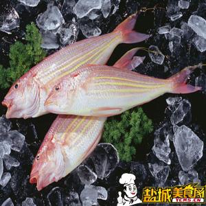 金线鱼