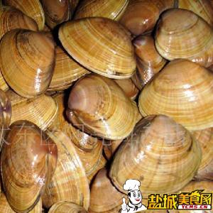 青柳蛤