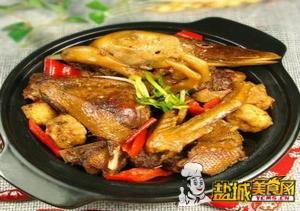 铁盔将军鸭(图)